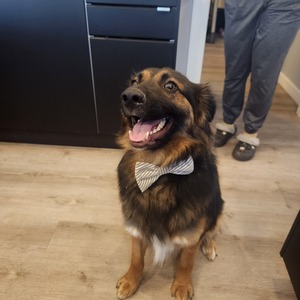 Fundraising Page: Jenna Daher